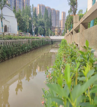 襄陽市襄城區(qū)渭水河綜合治理工程二標